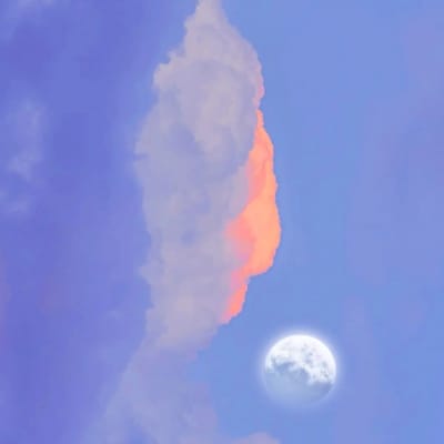 انظام الحق avatar